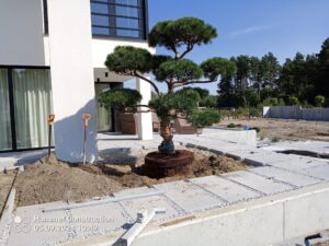 Projektowanie i urządzanie ogrodów Kielce Eko-Garden Ogrody 2026